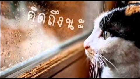 ความคิดถึงห้ามกันไม่ได้ -  โอ๊ค