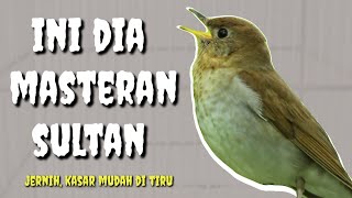 MASTERAN BURUNG LOMBA| MASTERAN JERNIH MUDAH DI TIRU