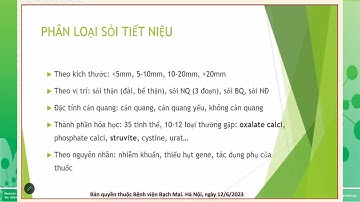T6/ 4- Cập nhật chẩn đoán - chỉ định Phẫu thuật sỏi Tiết niệu