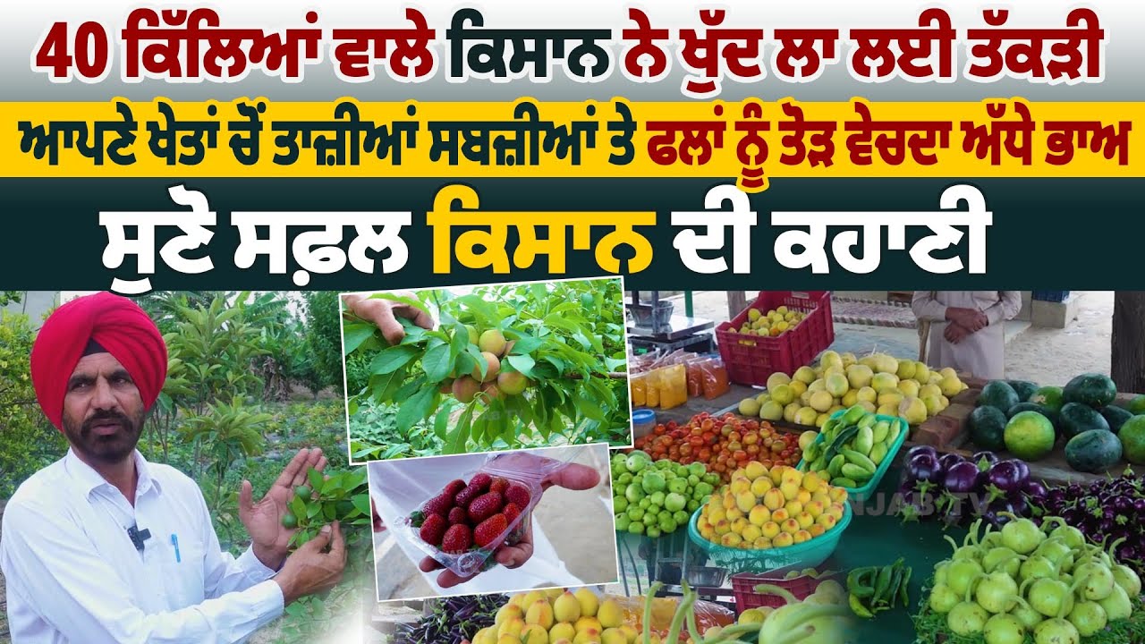 ਆਪਣੇ ਖੇਤਾਂ ਚੋਂ ਤਾਜ਼ੀਆਂ ਸਬਜ਼ੀਆਂ ਤੇ ਫਲਾਂ ਨੂੰ ਤੋੜ ਵੇਚਦਾ ਅੱਧੇ ਭਾਅ, ਸੁਣੋ ਸਫ਼ਲ ਕਿਸਾਨ ਦੀ ਕਹਾਣੀ | Pro Punjab
