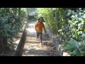 SAYANORA Whatsapp Status Video Download Free