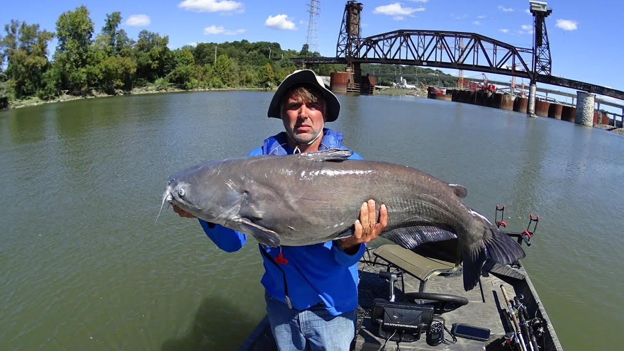 Making Chattanooga Famous For Catfish YouTube