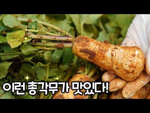 천연소화제 <strong>총각무김치</strong>, 이렇게 먹으면 위에 부담없이 속이 편안해요~