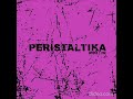 Noisezone  peristaltika2024single amsterdamnarko records