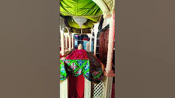 Bhardo Jholi Meri Dargah Viral Shots Youtubeshorts Naatstatus Newvlog Qawali Ytshorts Status 