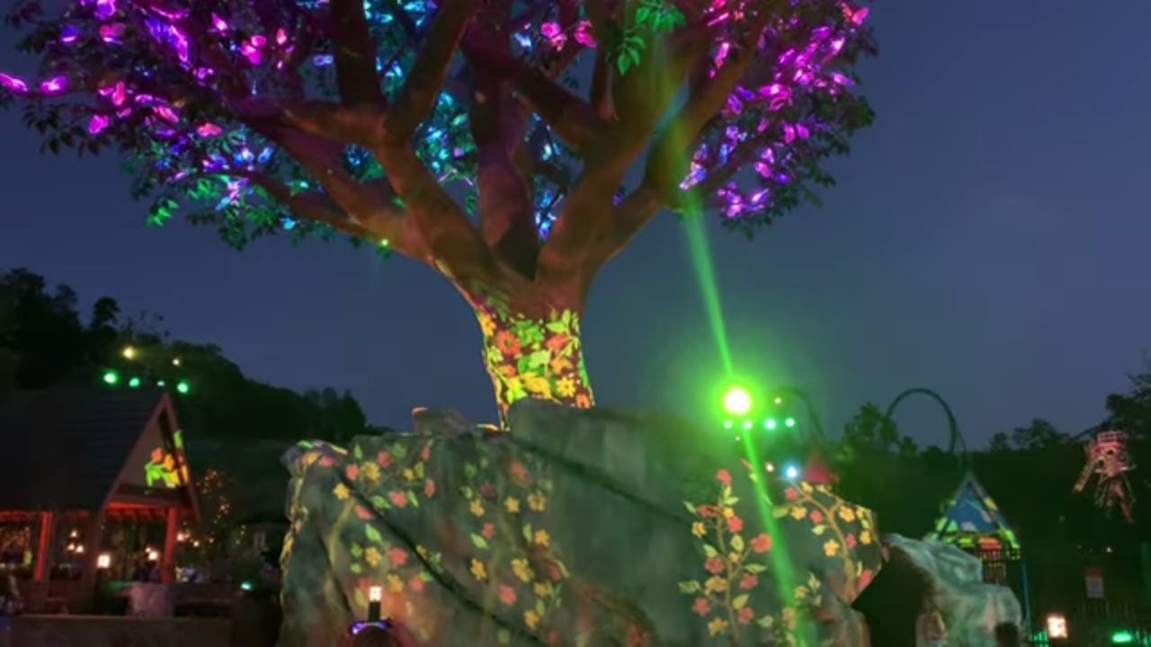 Dollywood's Traditions Gift Shop & Some Beautiful Night Shots of