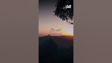 سورة الرحمن م.باسل مؤنس رحمه الله