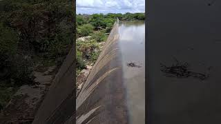 Água chegando ao Nordeste alegria do povo