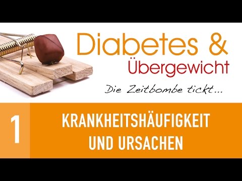 1. Krankheitshäufigkeit und Ursachen - Diabetes & Übergewicht - Dr. med. Winfried Küsel