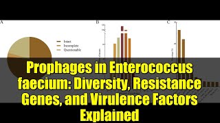 Prophages In Enterococcus Faecium Diversity, Resistance Genes, And Virulence Factors Explained