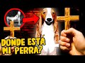 MI PERRA NO ESTÁ... ASÍ SE VE UN SKINWALKER REAL😱 🐶 descubro oscuro secreto ¡CORRE DE CASA, HUMANO!