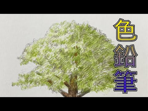 色鉛筆|木顏色素描大樹【屯門畫室】coloured pencil drawing tree