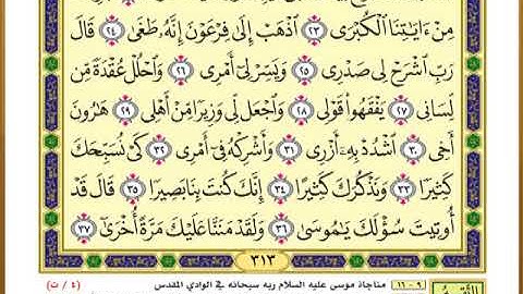 الصفحة ( 313) من القرآن الكريم سورة طه _ مصحف التقسيم الموضوعي _