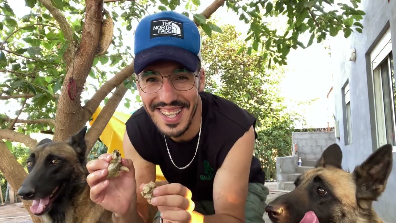 فلوكي مرض بفيروس ليشمانيوز 30/ vlog