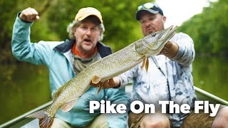 Pike On The Fly | Like Hot Buttered Lightning!