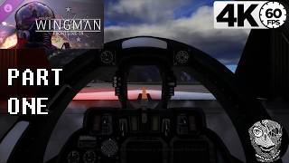 (Mission 1) [Bottom of the Barrel] Project Wingman Frontline-59 Campaign