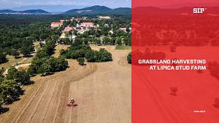 SIP | Grassland Harvesting at Lipica Stud Farm