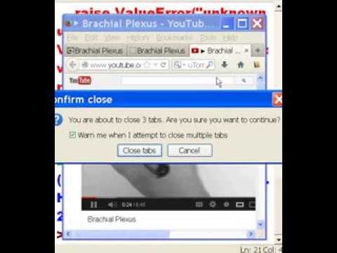 Python Open a web page for REAL Viewing