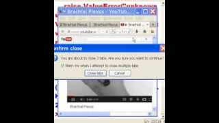 Python Open a web page for REAL Viewing