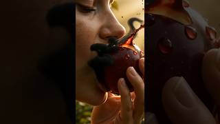 The moment everything changed for humanity 🍎 #adamandeve #genesis #TheFall #biblestories #Redemption