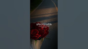 (وقالوا الحمدلله الذي أذهب عنا الحزن أنا ربنا لغفور شكور) القارئ#رعد_الكردي #تلاوات_خاشعة