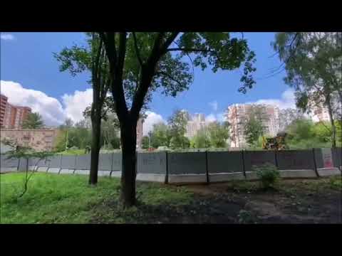 Березовая аллея в Москве безжалостно вырубается