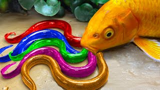 RAINBOW CARP💕Hot Gold Fish Vs Koi Fish Hunting Colorful eggs | Primitive Cooking - Stop Motion ASMR