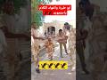ابو طيرة فكاكين الحيرة وحوش الاحتياطي المركزي بل الجنجويد واجب وطني السودان الان 