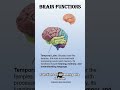 Functions of brain #education #nursingeducation #bscnursing #norcet #aiims #gnm #brain #anatomy