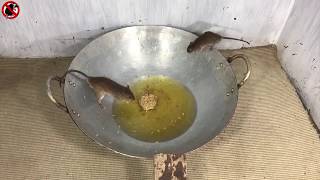 【ネズミ】トラップ　簡単مصيدة الزيت للفئران 