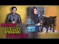Visited at Imran Dogs setup Husky Labrador Chiwawa dogs Video (Jamshed Asmi Informative Channel)