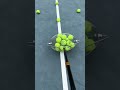 Tennis Ball Champion Pro*: Collecting Made Easy #smalleyes #sharps #sportsequipment #sportsequipment