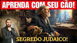 O SIGNIFICADO ESPIRITUAL DOS CACHORROS e Sua Mensagem!