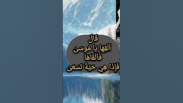 {وما تلك بيمينك يا موسى قال هى عصاي أتوكأ عليها واهش بها على غنمى} عبد الباسط عبد الصمد سورة طه 17