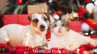 Christmas & New Year Music For Dog & Cat!🔥 Relaxation Tones to Calm Anxiety & Stress for Dog & Cat