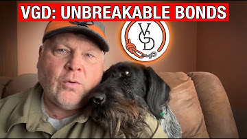 Wat u daadwerkelijk krijgt van een VGD-lidmaatschap