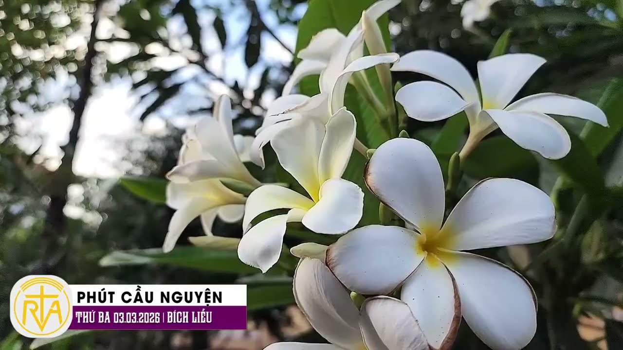 Phút Cầu Nguyện, Thứ Ba 03/03/2026:   Sống chân thật để làm chứng cho Chúa