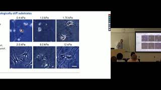 Lecture 3 (2018)_Cell and tissue mechanics (Janmey)