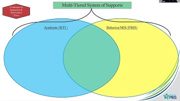 Process for Monitoring MTSS Implementation Progress and Impacts on Outcomes