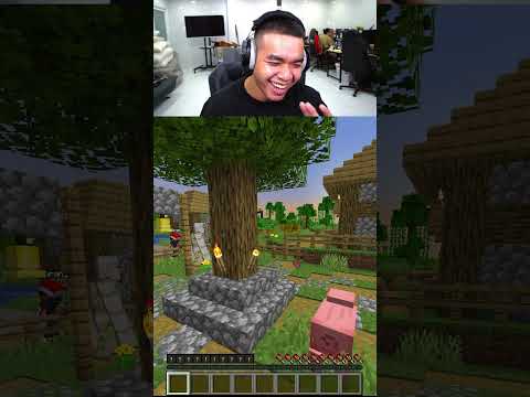 Trốn Kĩ Thế Mà Thấy Sao