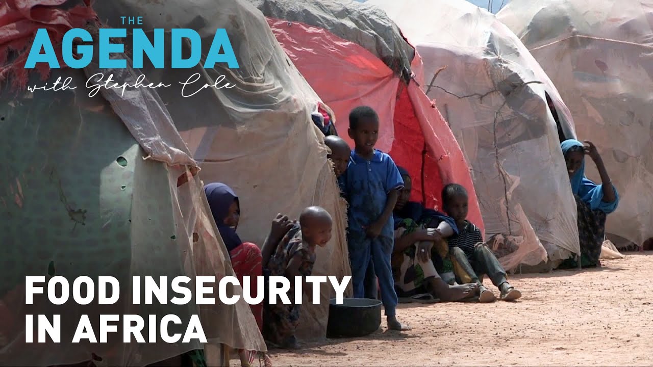 FOOD INSECURITY IN AFRICA - Ruth Oniyang'o, Professor of Nutrition - The Agenda with Stephen Cole
