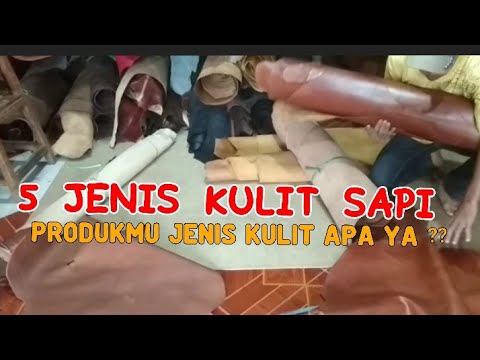 Video: Kulit lembu digunakan untuk apa?