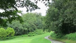 Greenfields - Susan Jacks