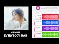 Middle of video