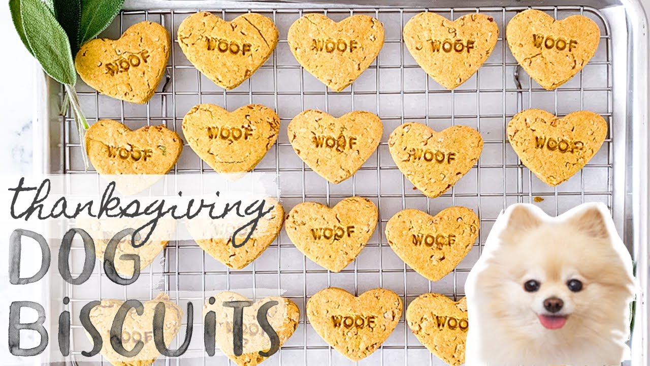 Picture of THANKSGIVING Dog Treat Recipe // Turkey, Butternut Squash & Sage Dog ...