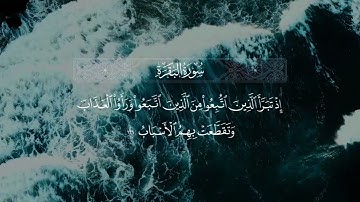 سورة البقرة | الآيات 165 - 167 | القارئ محمد صديق المنشاوي (اللهم ارحمه)