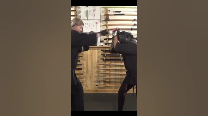 HOW TO FIGHT USING KEMPO: Ninja Martial Arts Fight...