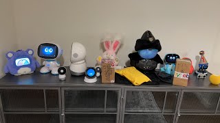 Jibo & Friends - Mystery Unboxing Livestream (A Cowgirl’s Song)