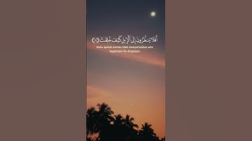 أفلا ينظرون إلى الابل كيف خلقت | سورة الغاشية | القارئ عبد الرحمن مسعد #عبدالرحمن_مسعد