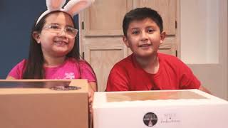 Celebrity Easter egg breakables Profile